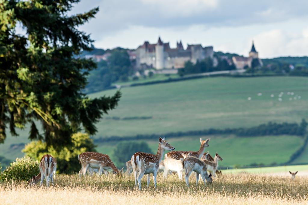 Chateau Sainte Sabine Екстериор снимка